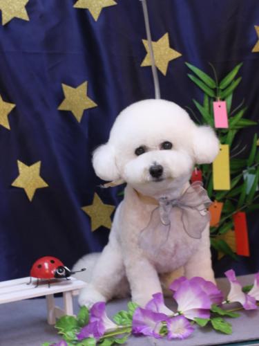 20230701ププくん